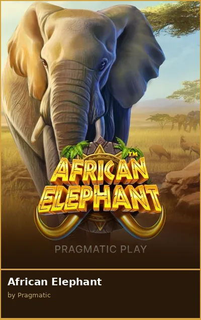 African Elephant